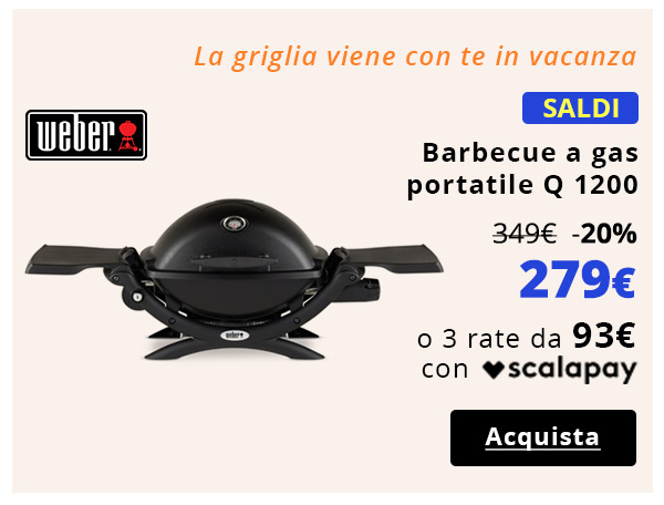 Barbecue a gas portatile 